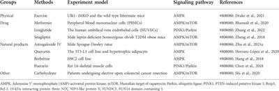 Mitophagy: A potential therapeutic target for insulin resistance